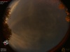 02:38:17 (*146)