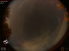 03:01:47 (*191)