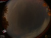 03:04:55 (*220)