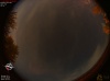 03:06:29 (*221)