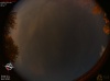 03:19:01 (*247)