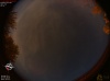 03:29:12 (*274)