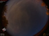 03:38:36 (*265)