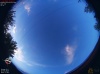 19:54:16