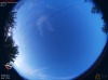 20:00:31
