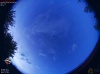 20:17:43