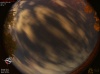 22:18:29 (*140)
