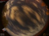 22:19:16 (*130)