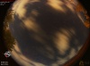 22:26:19 (*171)