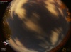 22:27:06 (*177)