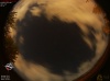 22:41:13 (*116)