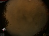 00:03:29 (*15)
