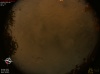 00:04:16 (*13)