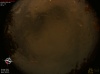00:09:45 (*189)