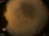 02:36:13 (*28)