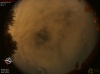 02:50:19 (*12)