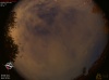 03:53:46 (*75)