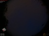 21:00:05 (*141)