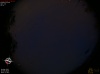 21:00:52 (*167)