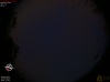 21:01:39 (*211)