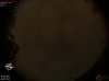 21:25:46 (*75)