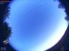 04:50:21