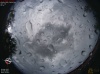16:19:37