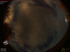 01:36:53 (*237)