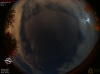 02:45:49 (*58)