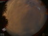 03:21:51 (*44)