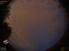 03:45:21 (*38)