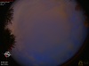 03:50:06 (*50)