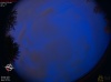 04:01:10 (*102)