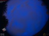 04:02:44 (*138)