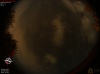 23:39:48 (*62)