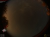 00:50:17 (*119)