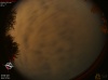 03:09:41 (*41)