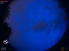 04:06:21 (*524)