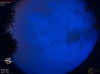 04:07:56 (*642)