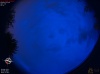 04:09:31 (*502)