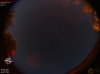 01:14:55 (*795)