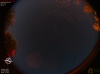 01:16:29 (*831)