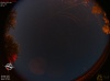 01:21:58 (*786)