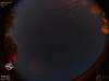 01:29:48 (*781)