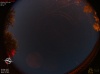 01:32:56 (*799)