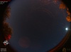 02:29:23 (*776)