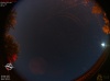 02:31:45 (*780)