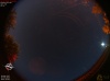 02:34:06 (*781)