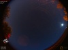03:01:31 (*788)