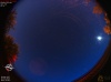 03:18:46 (*774)